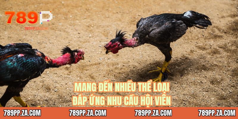 Mang đến nhiều thể loại đáp ứng nhu cầu hội viên